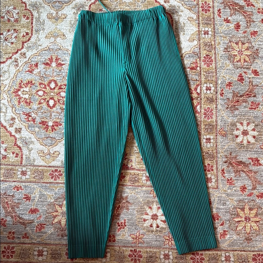 Homme Plisse Issey Mikayke Pants